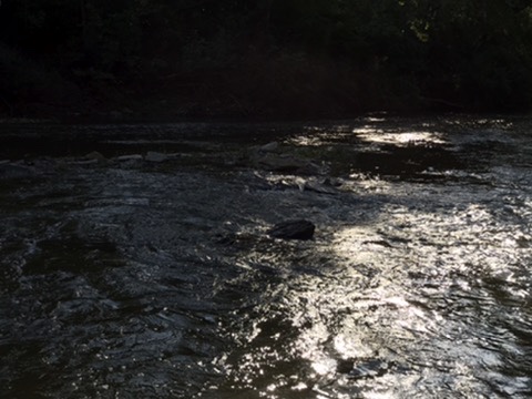 My photograph of light catching a flowing river.